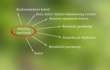 hronična upala grafika