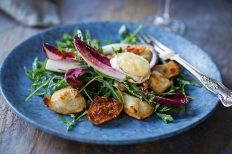 salata od čičoke i sira