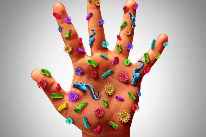 mikroorganizmi na ruci