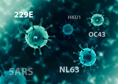tipovi korona virusa