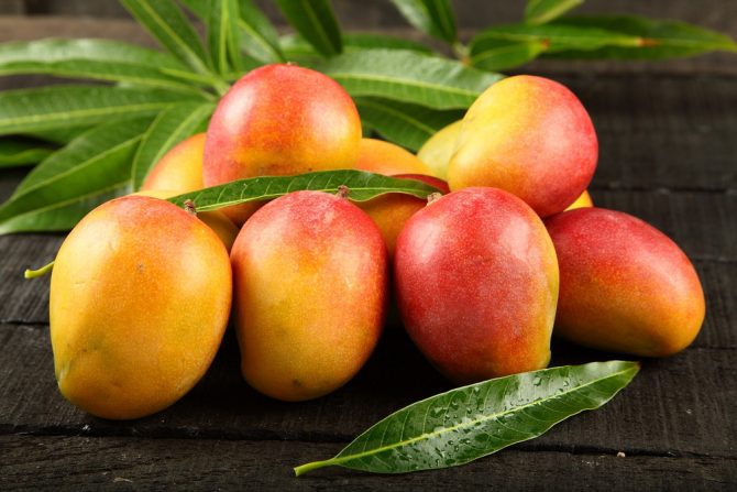 mango