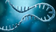Tehnologija mRNA počeće da se primenjuje i za vakcine kojima će se lečiti hronične bolesti, pa čak i karcinom
