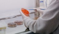 Zbog citokinske oluje svaki peti oboleli od covid 19 mora u bolnicu, dr Pejnović objašnjava zašto je ovaj proces opasan