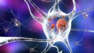 Parkinsonova bolest nije izlečiva, kako se boriti protiv najčešćih komplikacija