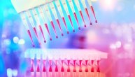 Novi soj, nova epidemija: Sekvenciranje genoma pokazalo da mutacije korona virusa podstiču nagli porast broja inficiranih