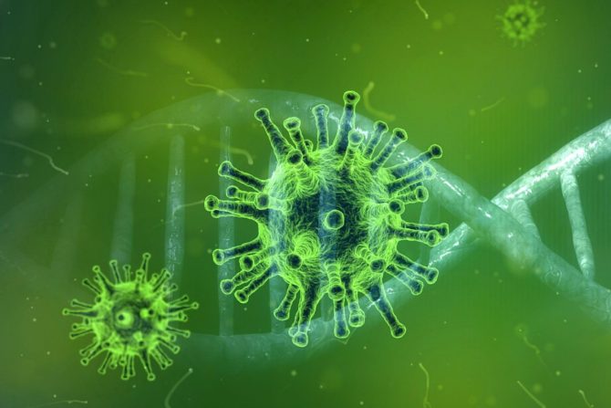 covid 19.korona virus-indijski soj