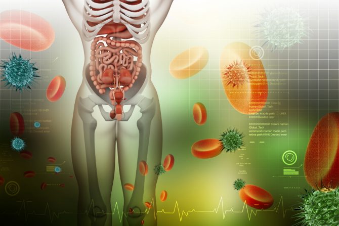 varenje-probava-digestivni trakt