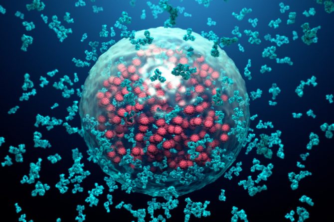 covid 19-korona virus-antitela