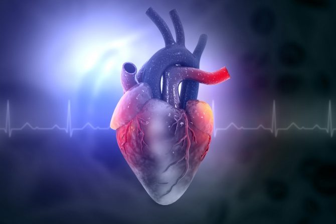 srce-bolesti srca- kardiovaskularni problem