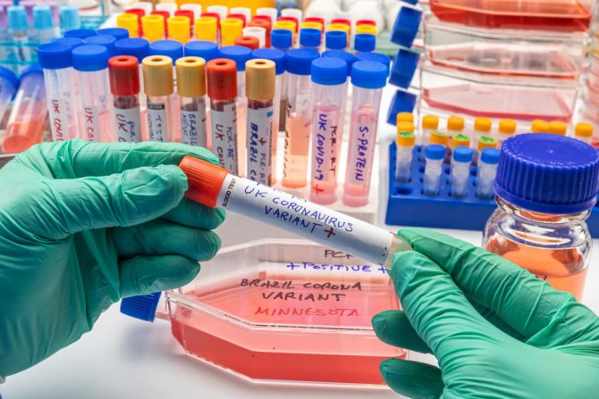 mutacije-sojevi-korona virus