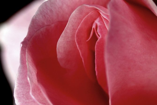 vagina-zdravlje-namirnice