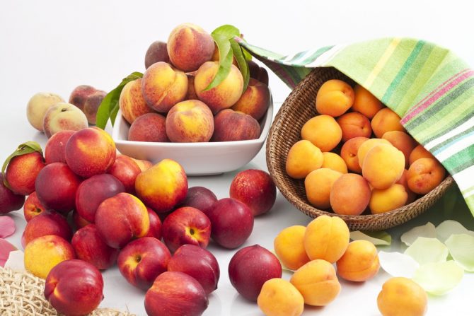 breskve-kajsije-letnje voće