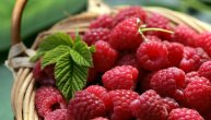 Maline sadrže malo ugljenih hidrata i mnogo vlakana, a mogu i da uspore starenje