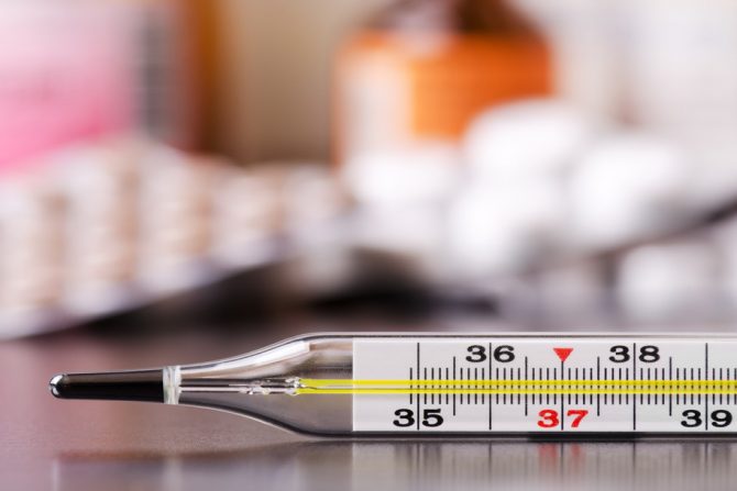 toplomer- bakterije- temperatura