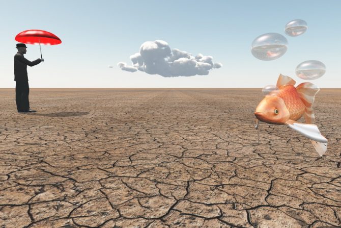 snovi-čudni snovi-java