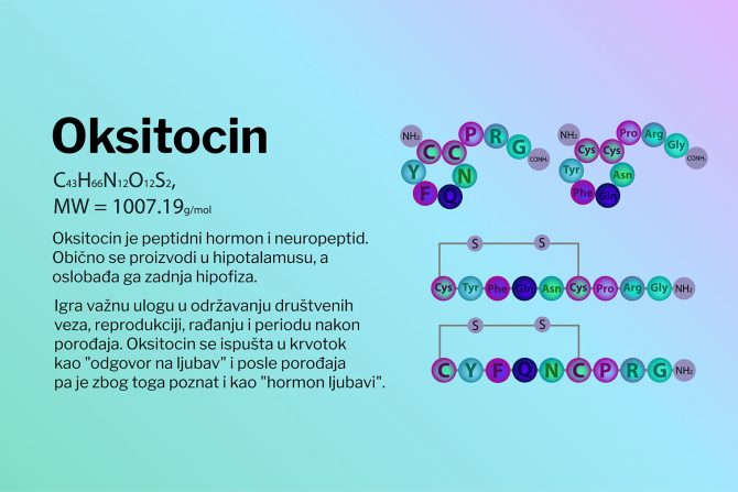 hormon-porođaj- oksitocin -ljubav