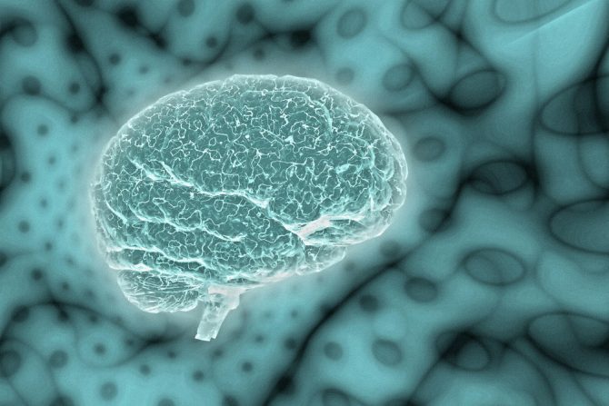 mozal-alchajmerova bolest-metali u mozgu