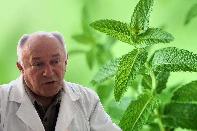 kinetoza-mučnina-bolest putovanja