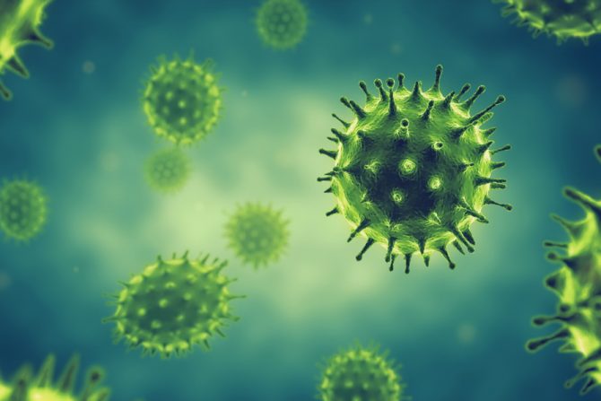 korona virus- imunitet- vakcine-doživotni imunitet