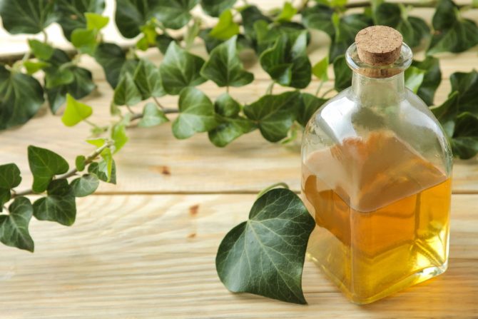 celulit.pomorandžina kora-kako ukloniti celulit