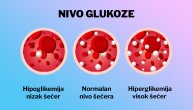 Dijabetes i visoke temperature nisu dobra kombinacija: Kako da kontrolišemo šećer tokom vrućina