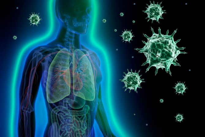 imuni sistem-mutacije korona virusa-sojevi korona virusa