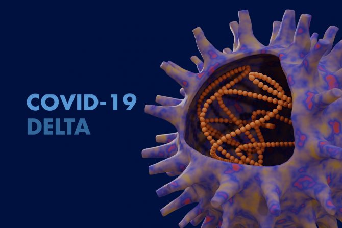 Delta soj, covid 19