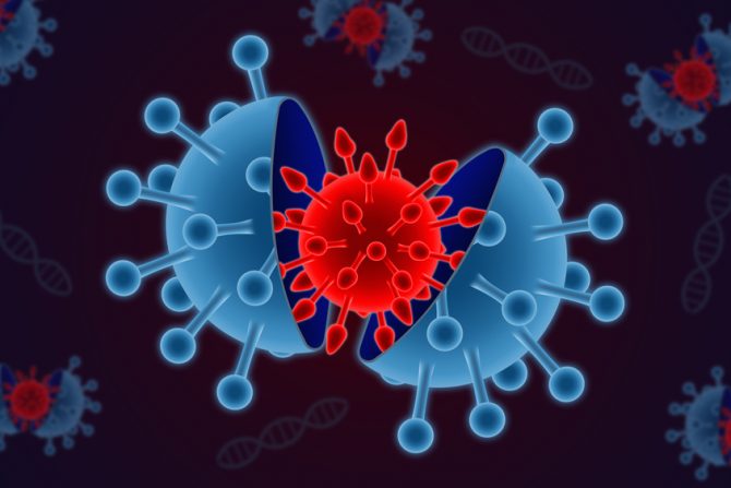 Covid 19, novi soj, korona