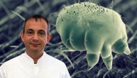 Šuga je dosadna parazitska bolest, a dr Dimitrije Karabahčiev opisuje kako se prenosi i leči