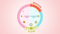 Kako se menja menstrualni ciklus posle 40. godine života