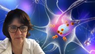 Operacija duboke moždane stimulacije usporava tok Parkinsonove bolesti, a kako to izgleda, objašnjava dr Marina Svetel