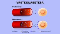Dijabetes tip 1 i dijabetes tip 2 – u čemu se razlikuju ove dve vrste oboljenja