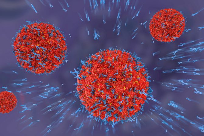 antitela- napada na virus- odbrana organizma -autoimune bolesti