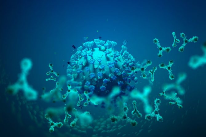 antitela-covid 19 vakcine - dejstvo vakcina