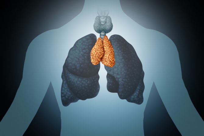 timus, grudna đlezda- T ćelije- imunitet