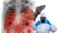 Upravo otkriven virus najbliži SARS-CoV-2 pronađen u slepim miševima