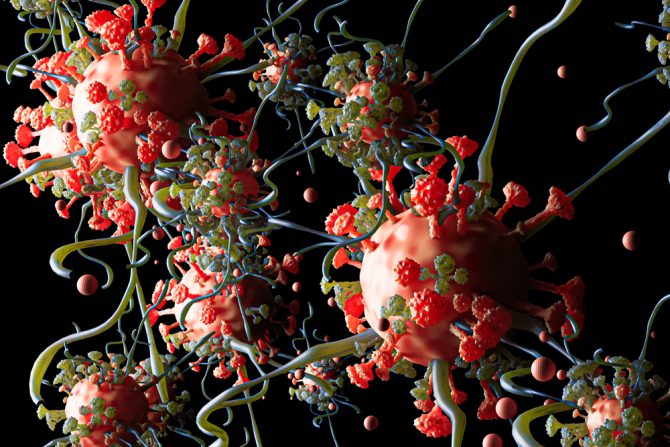 Covid 19, matične ćelije