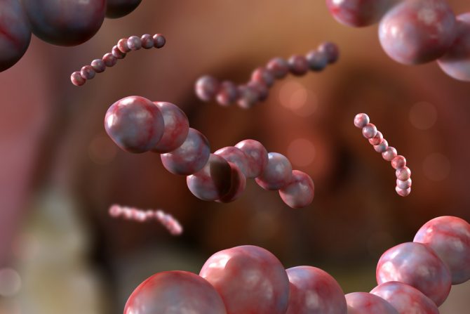 streptokona upala grla