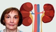Hronična bolest bubrega je poremećaj rada organa koji traje najmanje 3 meseca, ističe dr Višnja Ležaić