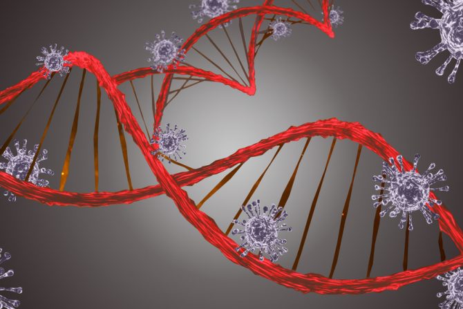 covid 19 - gen - pluća