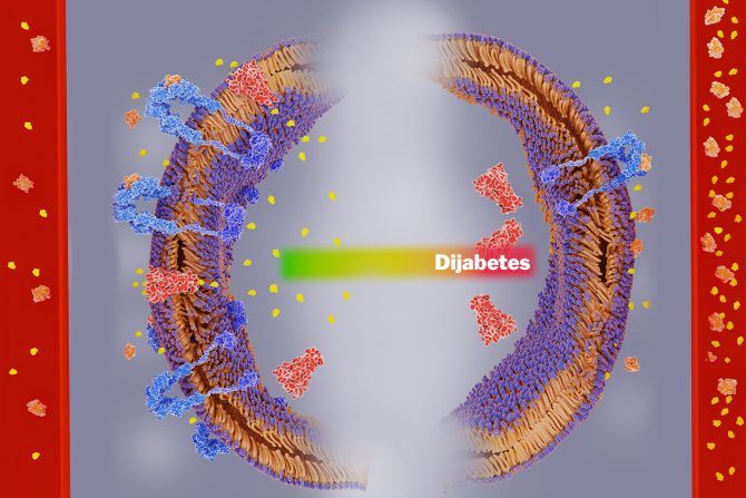 dijabetes i hepatitis C