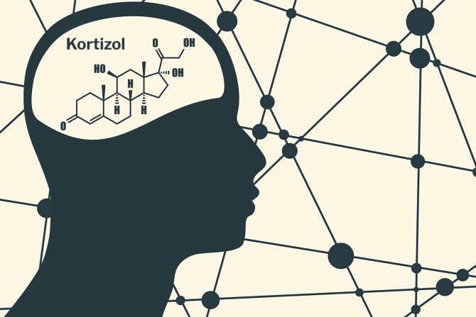 Kortizol