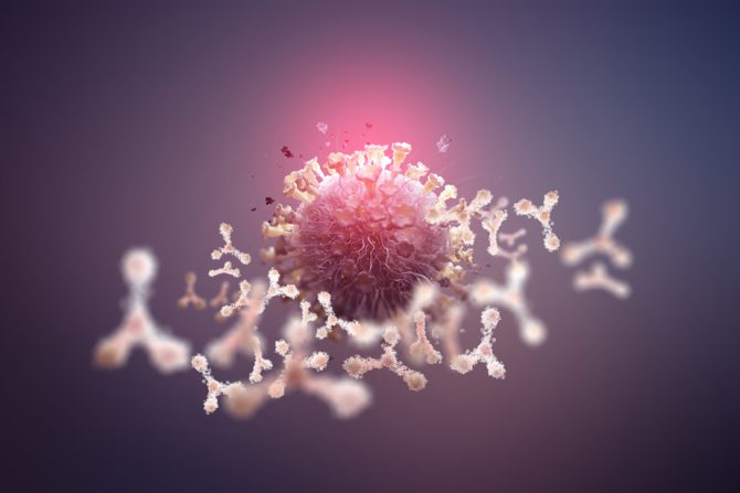 AstraZeneca koktel antitela