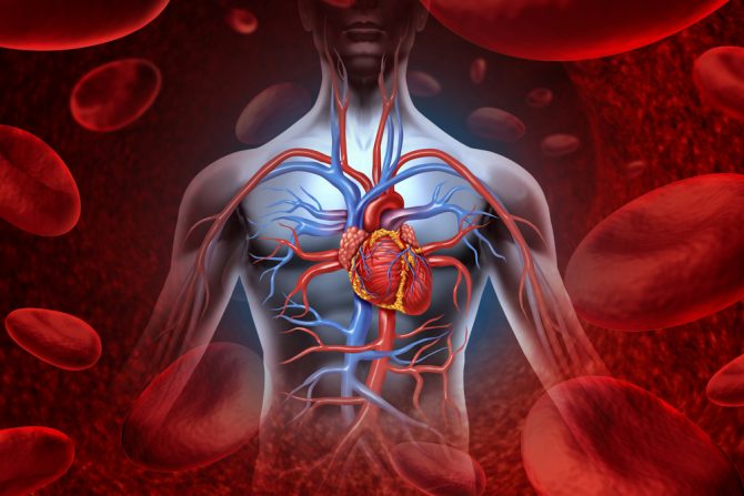 Intervencije na srcu