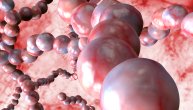 Streptokokno grlo izaziva bakterija, a antibiotici se ne koriste za lečenje