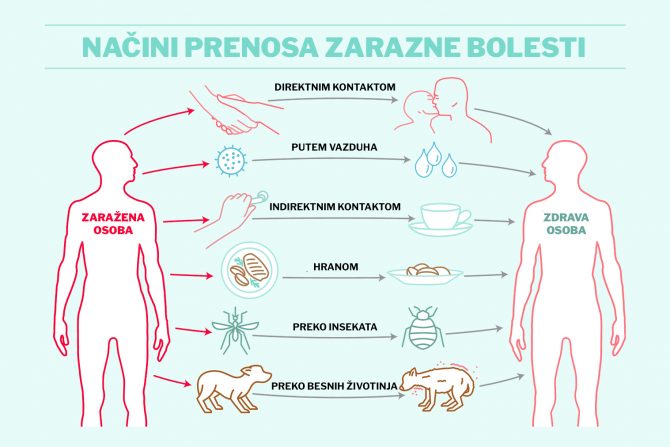 zarazne bolesti