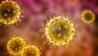 Herpes zoster izaziva isti virus zbog kojeg dobijamo i varičele