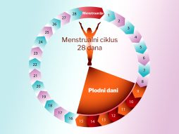 Plodni dani nisu uvek kad mislite  evo kako da ih izraunate - eKlinika