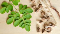 Moringa se koristi za prevenciju anemije i šećera u krvi