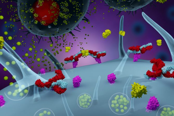 hladnja koprivnjača